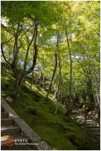 常寂光寺