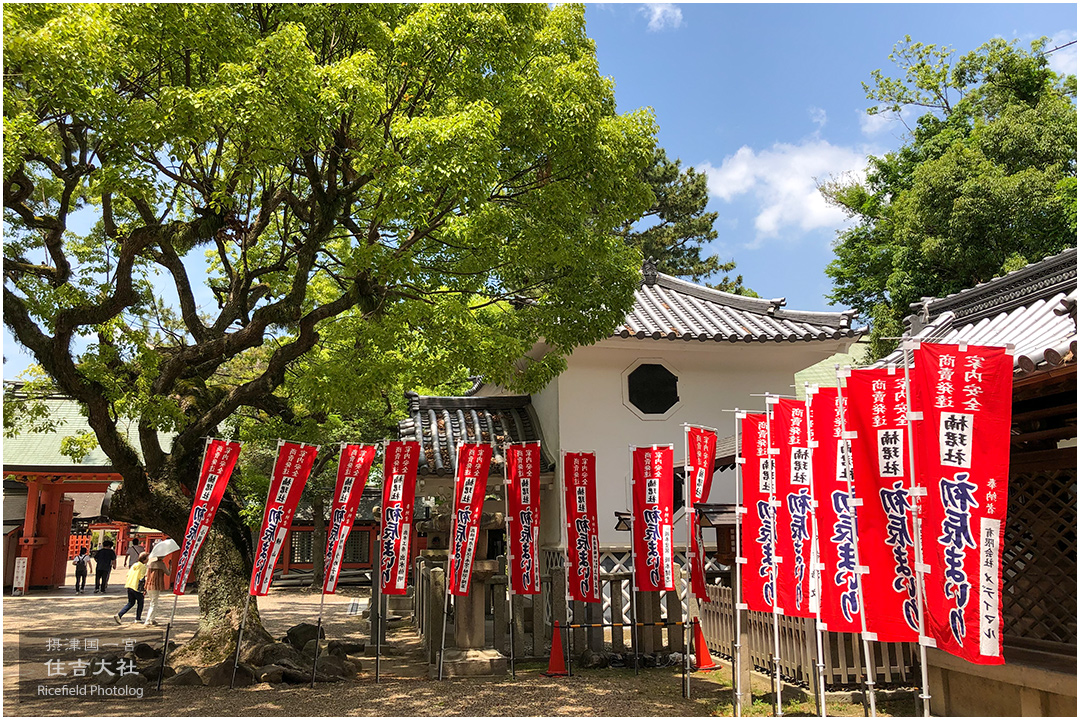 摂津国一宮 住吉大社