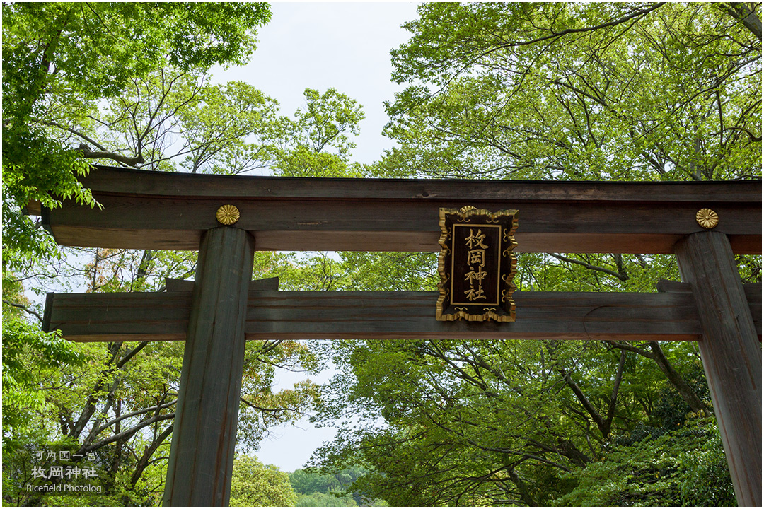 河内国一宮 枚岡神社