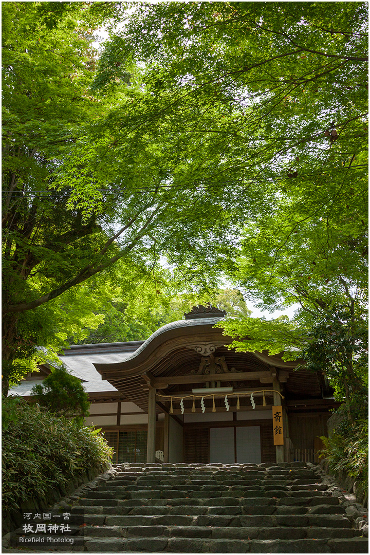 河内国一宮 枚岡神社