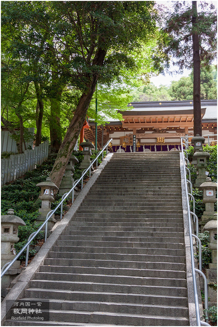 河内国一宮 枚岡神社