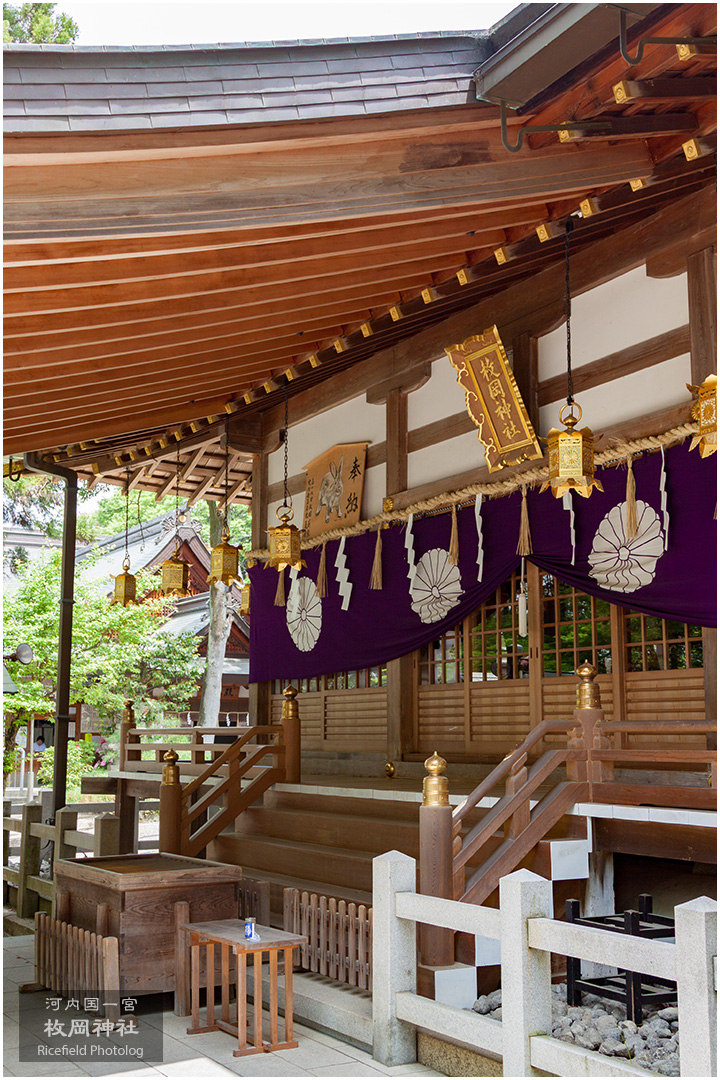 河内国一宮 枚岡神社