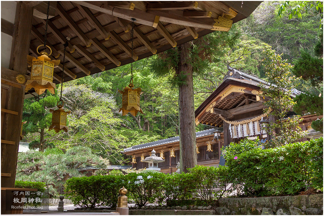 河内国一宮 枚岡神社