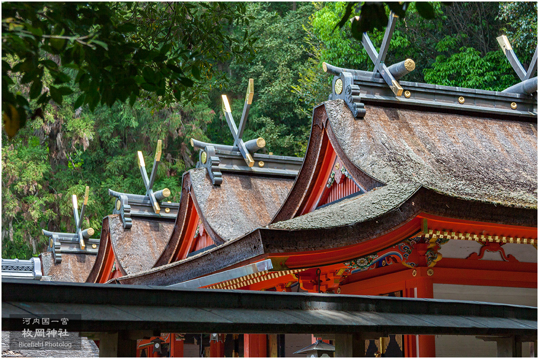 河内国一宮 枚岡神社